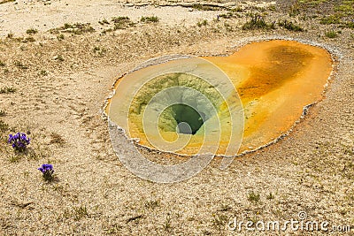 Thermal hot Springs Stock Photo