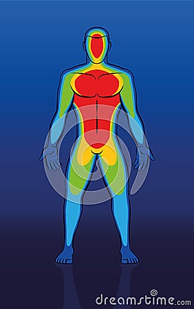 Thermal Image Male Body Front View Vector Illustration