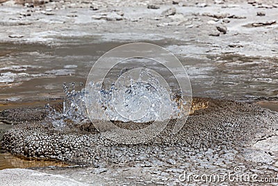 Thermal Splash at Yellowstone National Park Stock Photo