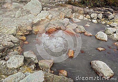 Thermal vent at the Fumarolas da Lagoa das Furnas in Sao Miguel, Azores Stock Photo