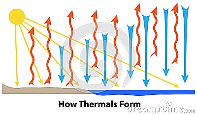 How Thermals Form Weather Diagram Vector Illustration