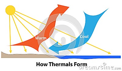 Thermals Form in Heated Air Vector Illustration