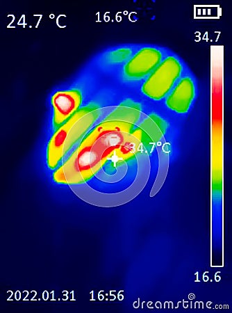 A Thermographic image of a mouse`s body, showing different temperatures in different colors, from blue, indicating cold, to red, Stock Photo