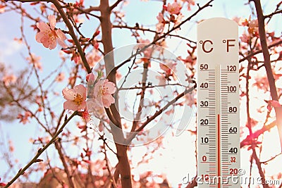 thermometer at field of flowers indicating weather change Stock Photo