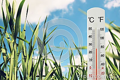 thermometer at field of green young grass indicating weather change Stock Photo