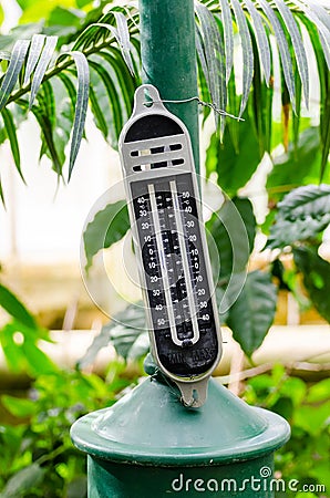 Thermometer for greenhouse Stock Photo