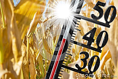 thermometer shows high temperature in summer heat Stock Photo