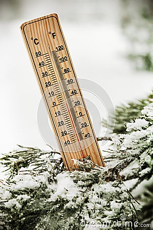 Thermometer with sub-zero temperatures on the branch of a tree Stock Photo