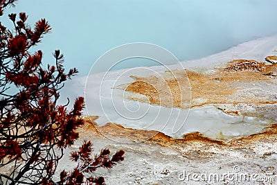 Thermophilic Bacteria at Biscuit Basin Yellowstone national park Stock Photo