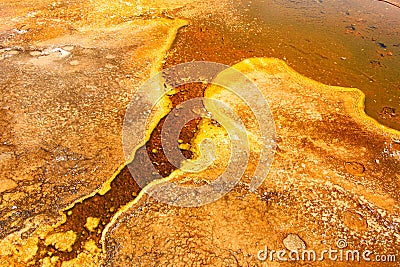 Thermophilic Bacteria in Yellowstone Stock Photo