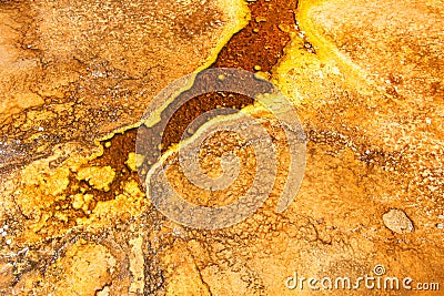 Thermophilic Bacteria in Yellowstone Stock Photo