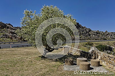 Theronsberg pass - nook for repose Stock Photo