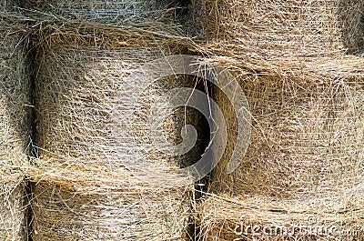 TheStraw, used to feed animals, today finds new life in green building. Stock Photo