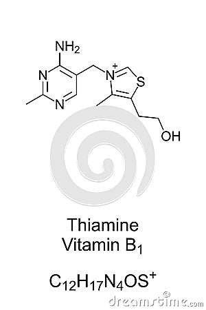Thiamine, vitamin B1, chemical structure and skeletal formula Vector Illustration