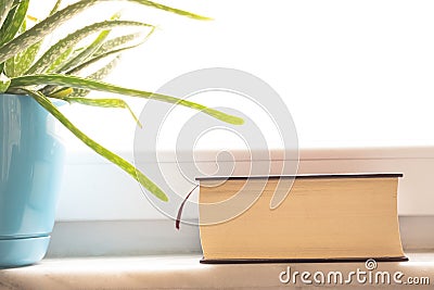 Thick book with brown hardcover and aloe vera plant near the window Stock Photo