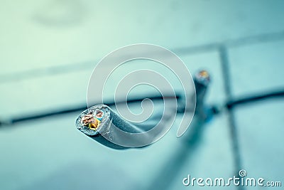 Thick copper three-core cable in a black braid close-up on a blurred background. High quality electrical wire Stock Photo