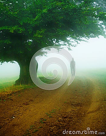 Thick fog Stock Photo