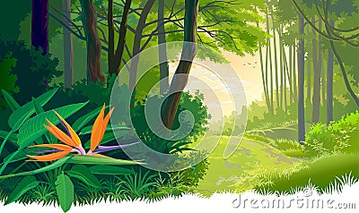 Thick green and dense jungle Vector Illustration