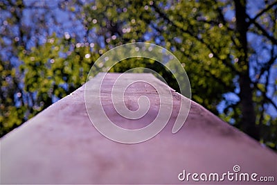 A thick metal barrier with a view of the leaves Stock Photo