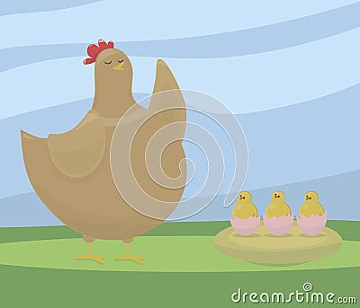 Thick pot-bellied brown chicken teaches three yellow chicks in shell from eggs vector drawing on a background of green grass and b Vector Illustration