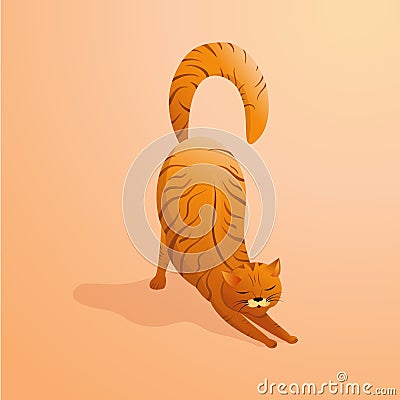 Thick striped red cat stretches sleepily. Vector Illustration
