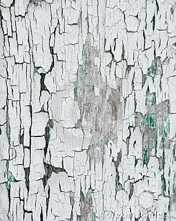 Thick white peeling cracked paint with green underneath Stock Photo