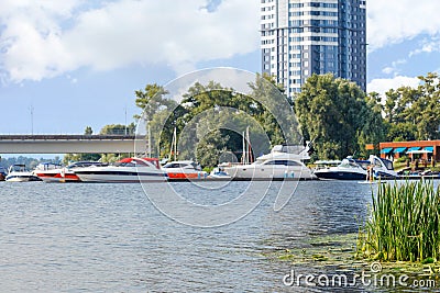 Thickets of river reeds against the background of the river bank in blur with a residential multi-storey building and a pier with Editorial Stock Photo