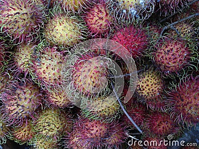 Thiis is unique fruits Stock Photo