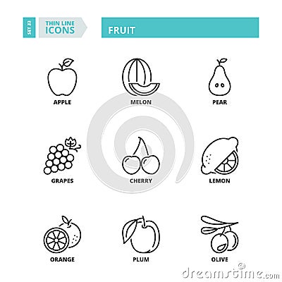 Thin line icons. Fruit Vector Illustration