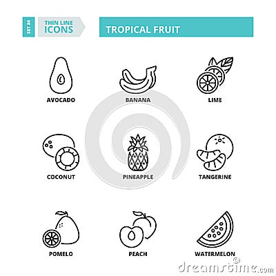 Thin line icons. Tropical fruit Vector Illustration