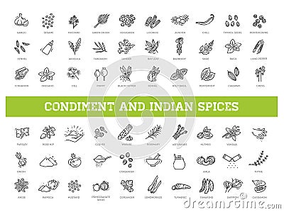 Indian spices. Condiment icons set. Outline set of condiment vector icons Vector Illustration