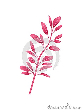 Thin Long Branch with Unusual Small Red Leaves Vector Illustration