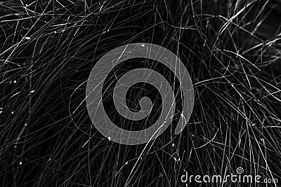 Thin metal wire background Stock Photo