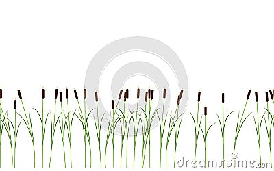 Thin reed stalks plant seamless pattern on white background Vector Illustration