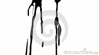 Thin trickles of spilled paint trickle down the white background. Isolated black ink drips onto white paper and forms Stock Photo