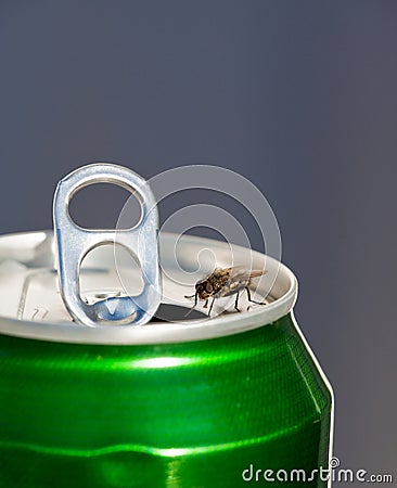 Thirsty Stock Photo