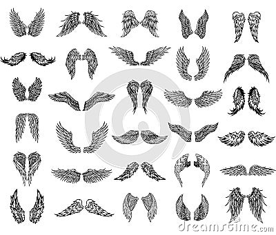 Thirty pairs of wings, graphic illustration Vector Illustration