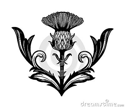 Thistle flower -the Symbol Of Scotland. Vector Illustration