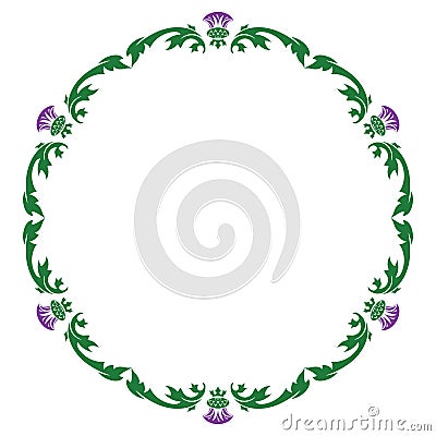 Thistle flower and ornament round leaf thistle. The Symbol Of Scotland Vector Illustration