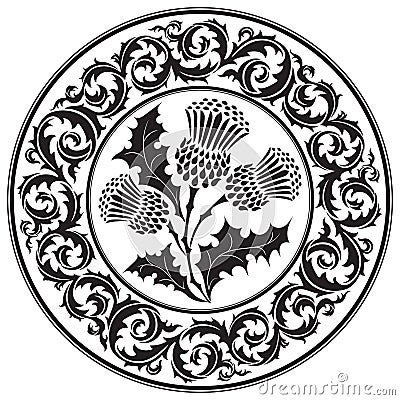 Thistle flower and ornament round leaf thistle. The Symbol Of Scotland Vector Illustration