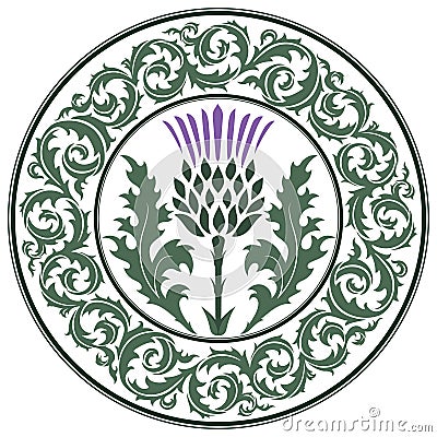 Thistle flower and ornament round leaf thistle. The Symbol Of Scotland Vector Illustration