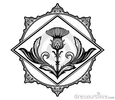 Thistle flower -the Symbol Of Scotland. Vector Illustration