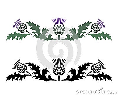 Thistle. Onopordum acanthium. Scottish Thistle Vector Illustration
