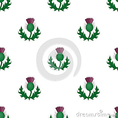 Thistles with green leaves.Medicinal plant of Scotland. Vector Illustration