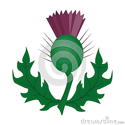 Thistles with leaves.Medicinal plant of Scotland.Scotland single icon in cartoon style vector symbol stock Vector Illustration