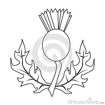 Thistles with leaves.Medicinal plant of Scotland.Scotland single icon in outline style vector symbol stock Vector Illustration
