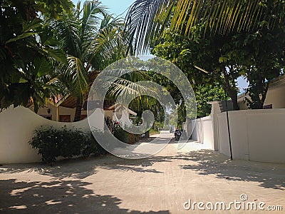 Thoddoo Alif Alif Atoll, Maldives - February 12, 2017: dusty road to the to guest houses on a sunny blue sky in a summer day on Editorial Stock Photo