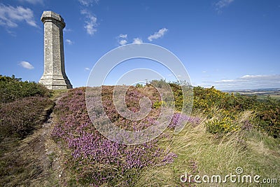 Thomas hardy monument dorset england Stock Photo