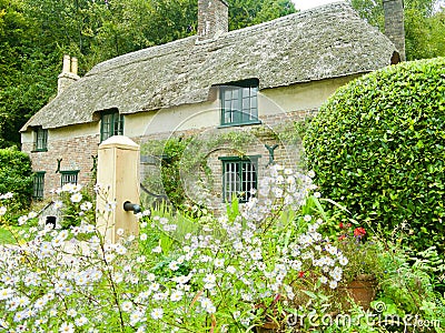 Flowers and the Thomas Hardy cottage Stock Photo