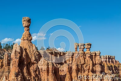 Thor`s Hammer, Bryce Canyon Stock Photo